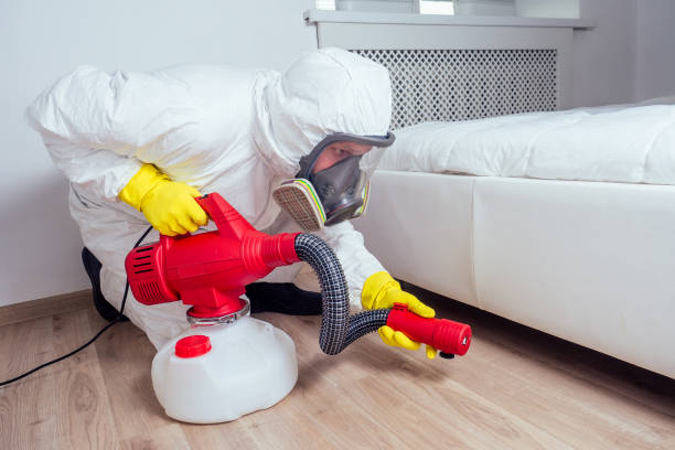 Professional Pest control in Cave Creek, AZ